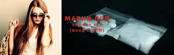 гашик Арсеньев