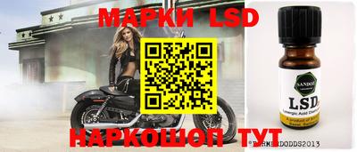дмт Нальчик