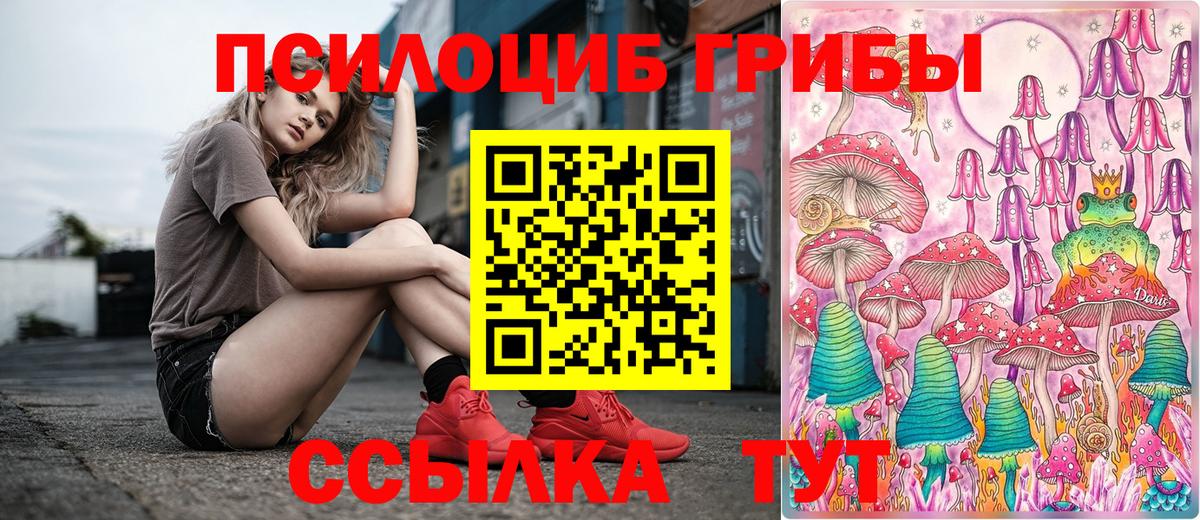 Псилоцибиновые грибы Cubensis Дедовск