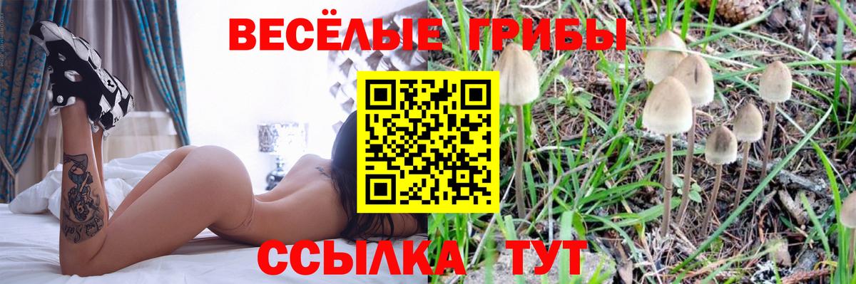 Псилоцибиновые грибы ЛСД  Псилоцибиновые грибы MAGIC MUSHROOMS  Дедовск  Вход с VPN 